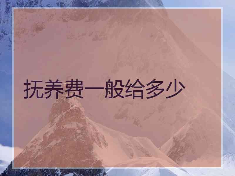 抚养费一般给多少