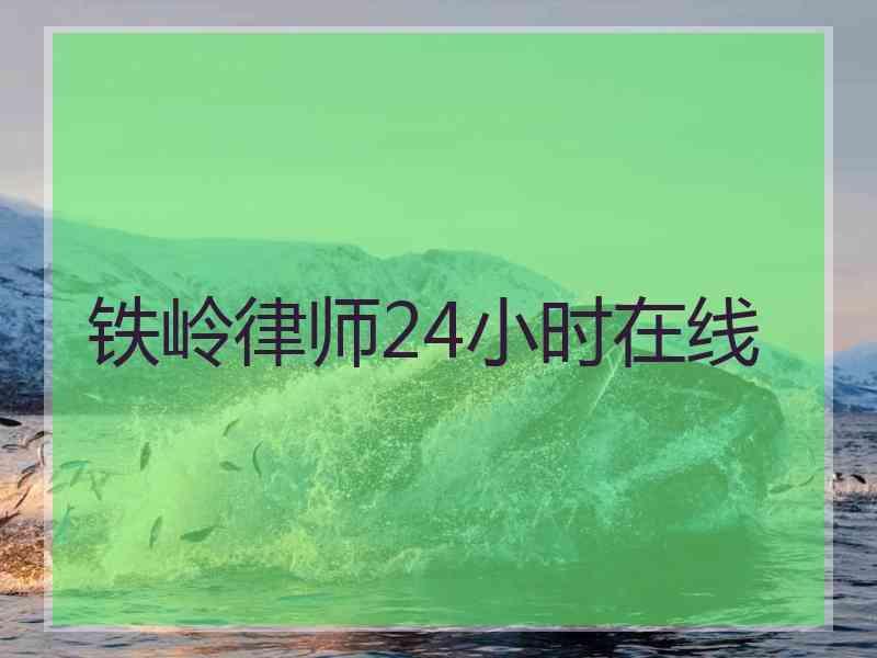 铁岭律师24小时在线