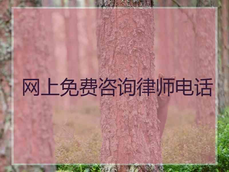 网上免费咨询律师电话