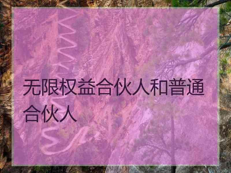 无限权益合伙人和普通合伙人