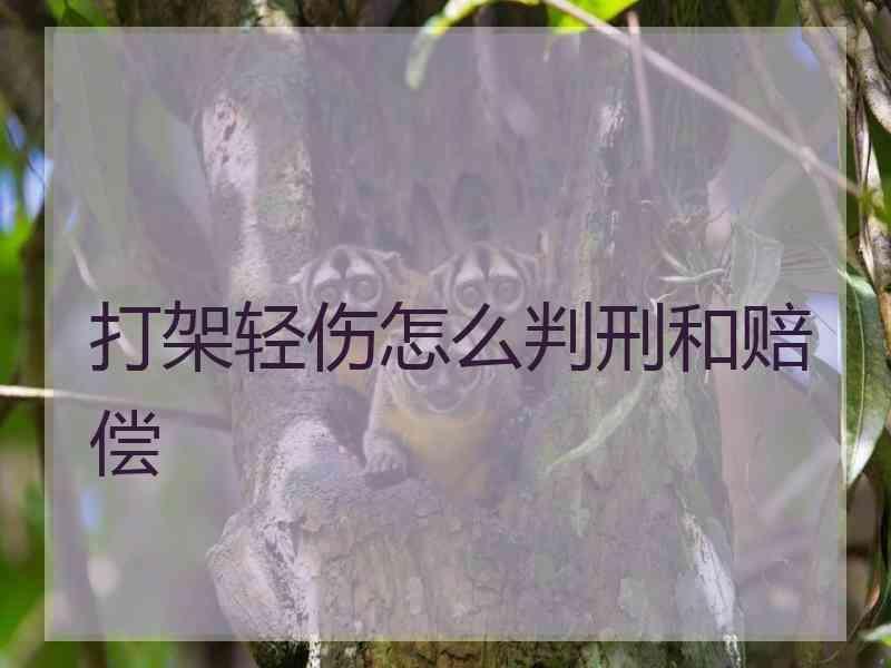 打架轻伤怎么判刑和赔偿