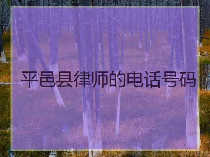 平邑县律师的电话号码