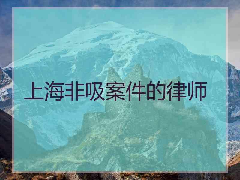 上海非吸案件的律师