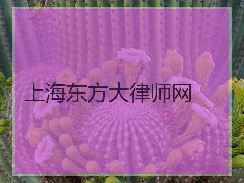 上海东方大律师网