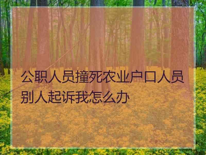 公职人员撞死农业户口人员别人起诉我怎么办