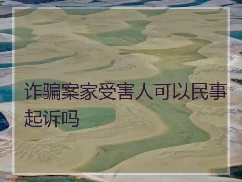 诈骗案家受害人可以民事起诉吗