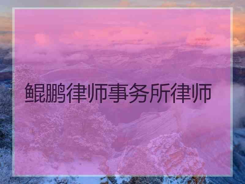 鲲鹏律师事务所律师