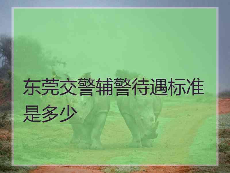 东莞交警辅警待遇标准是多少