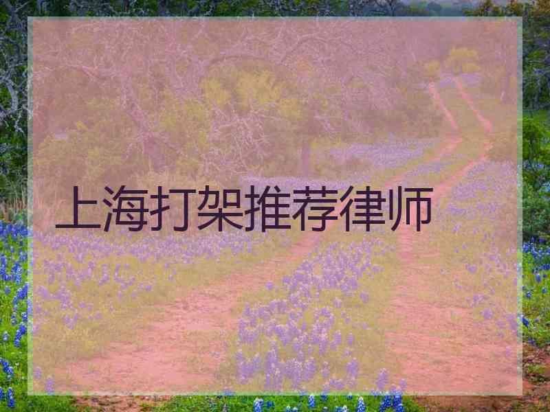 上海打架推荐律师