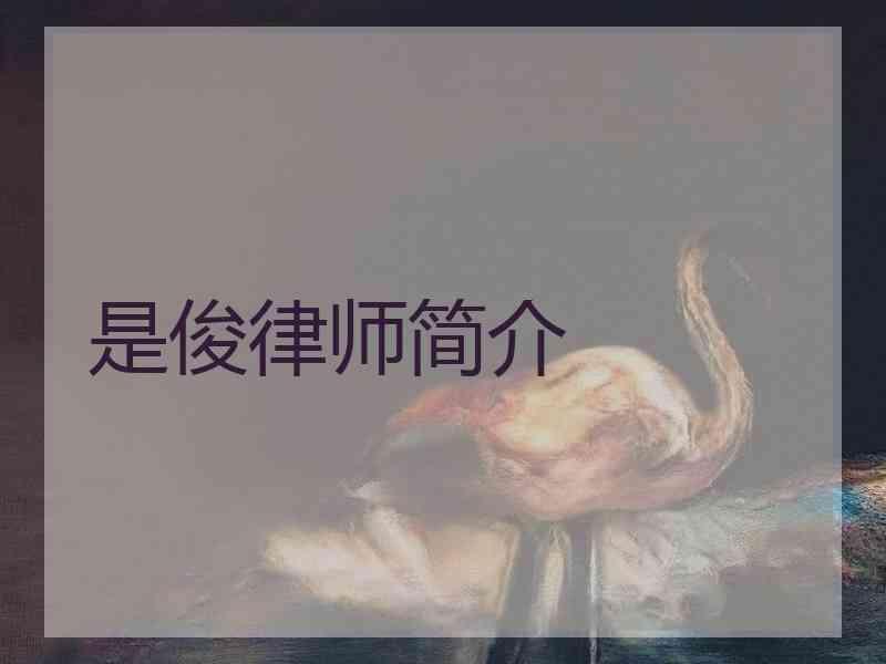 是俊律师简介