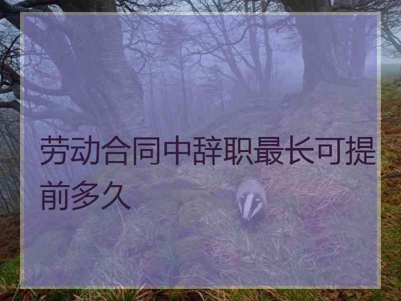 劳动合同中辞职最长可提前多久