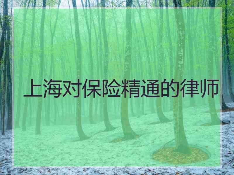 上海对保险精通的律师
