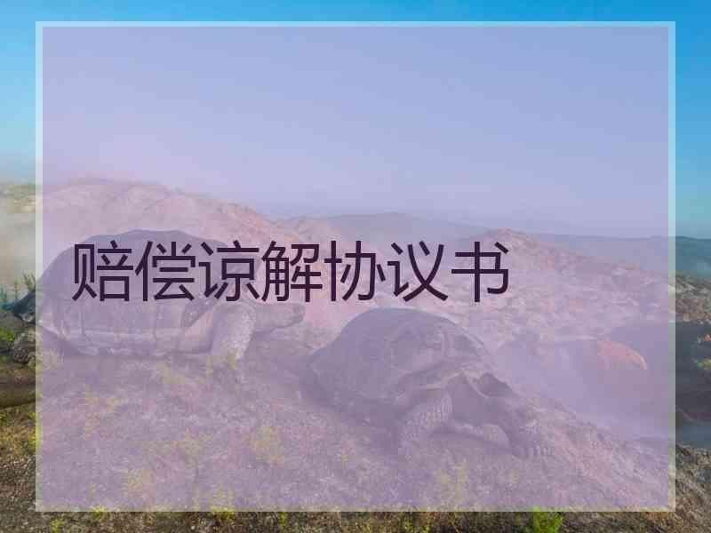 赔偿谅解协议书