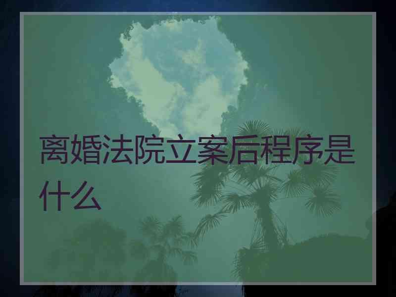 离婚法院立案后程序是什么