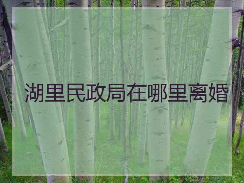 湖里民政局在哪里离婚