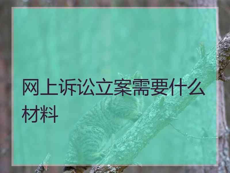 网上诉讼立案需要什么材料