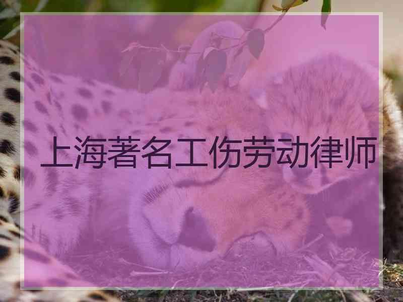 上海著名工伤劳动律师