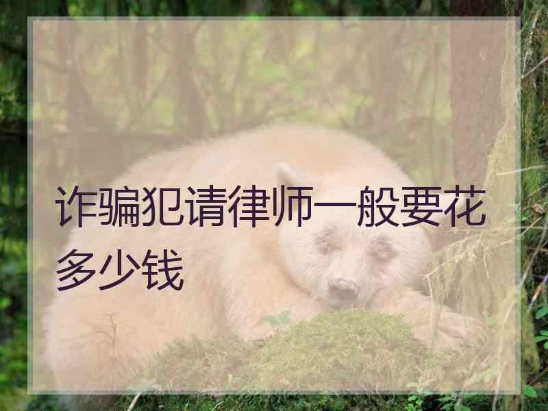 诈骗犯请律师一般要花多少钱