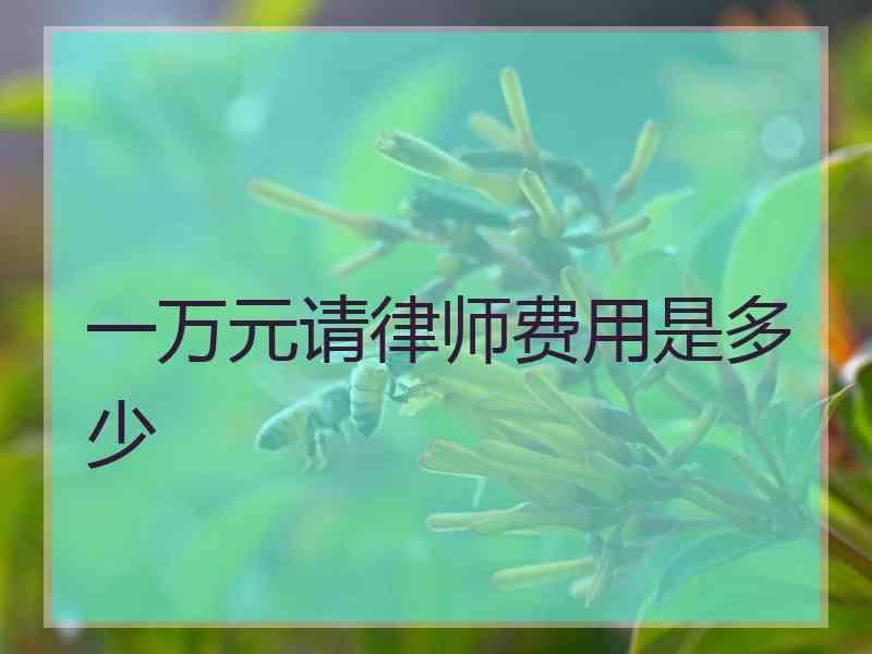 一万元请律师费用是多少