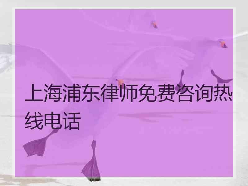 上海浦东律师免费咨询热线电话