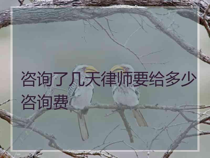 咨询了几天律师要给多少咨询费