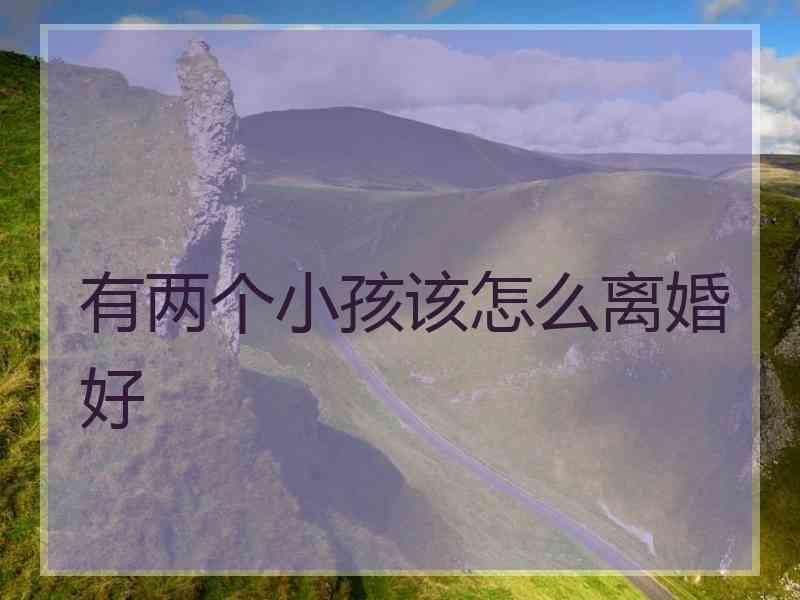 有两个小孩该怎么离婚好