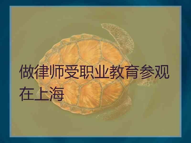 做律师受职业教育参观在上海