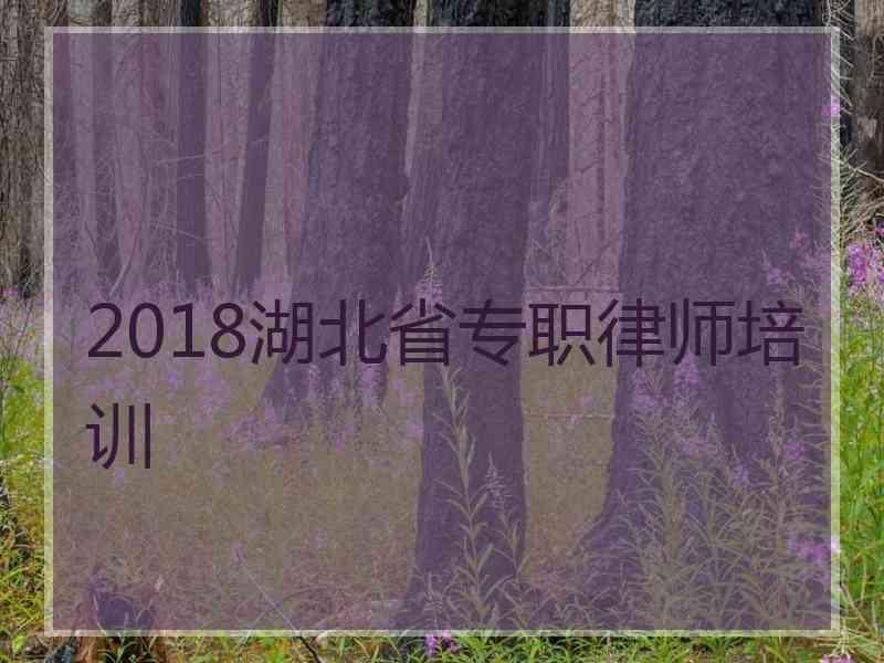 2018湖北省专职律师培训