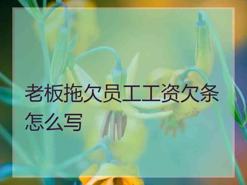 老板拖欠员工工资欠条怎么写