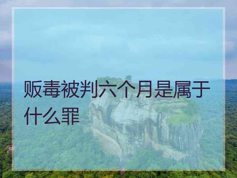 贩毒被判六个月是属于什么罪