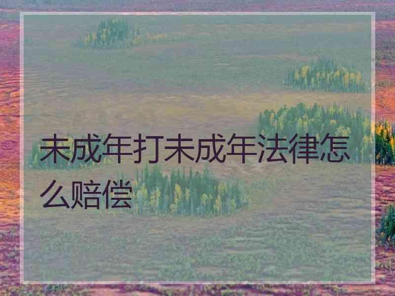 未成年打未成年法律怎么赔偿
