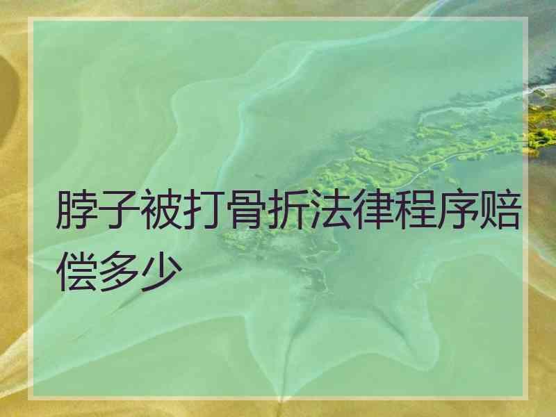 脖子被打骨折法律程序赔偿多少
