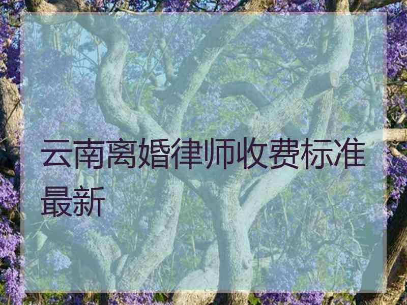 云南离婚律师收费标准最新