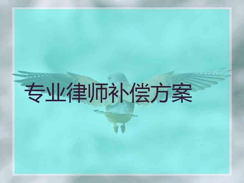 专业律师补偿方案