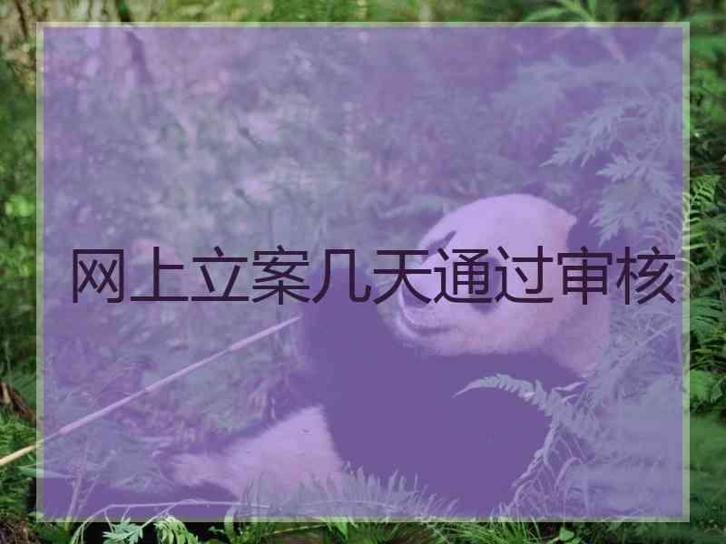 网上立案几天通过审核