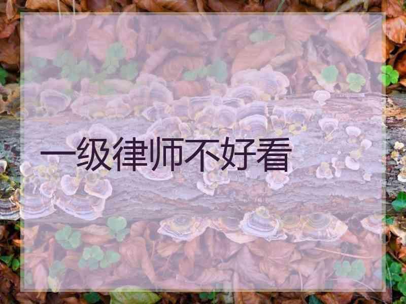 一级律师不好看