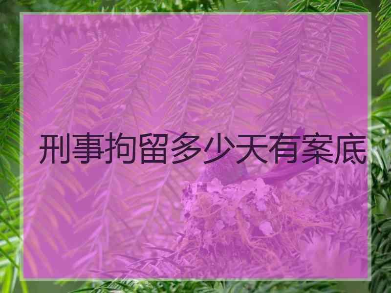 刑事拘留多少天有案底