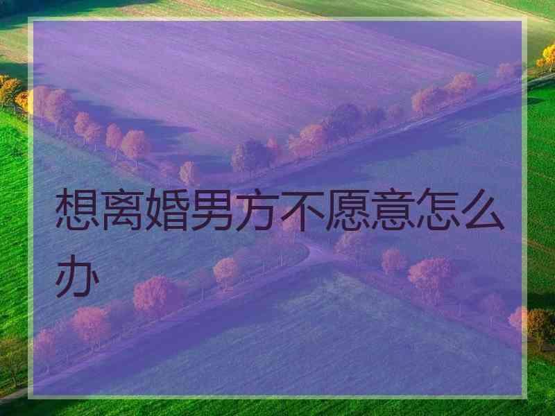 想离婚男方不愿意怎么办
