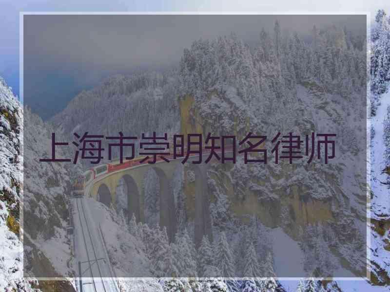上海市崇明知名律师