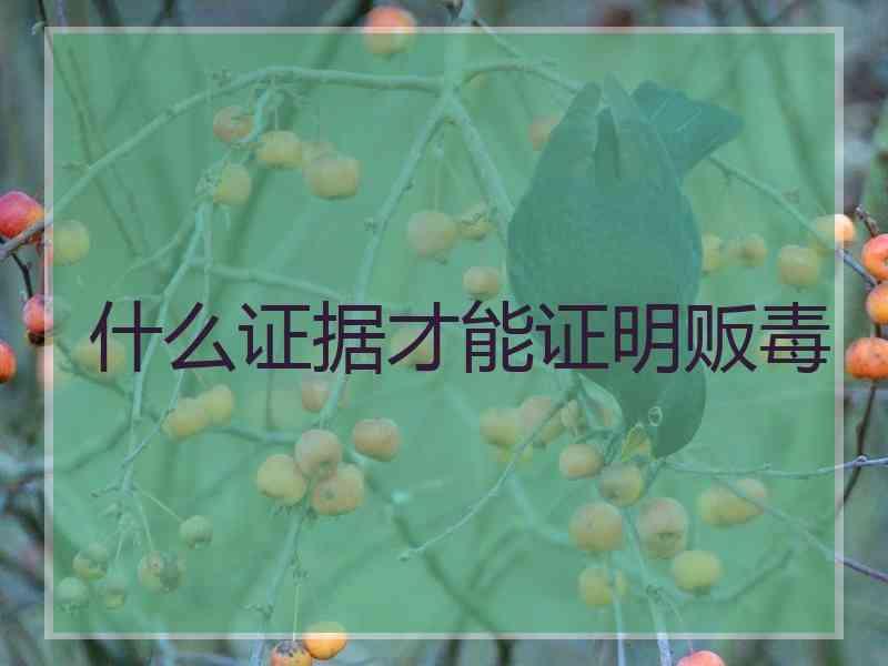 什么证据才能证明贩毒