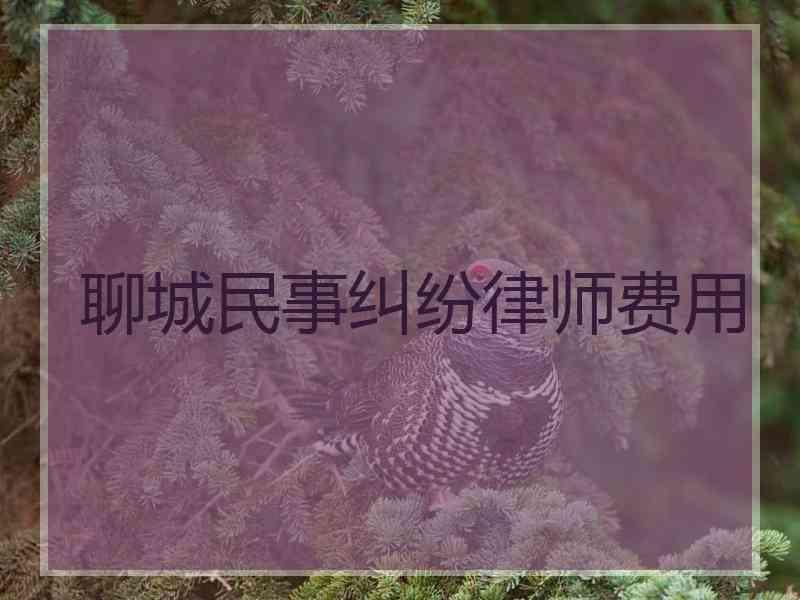 聊城民事纠纷律师费用