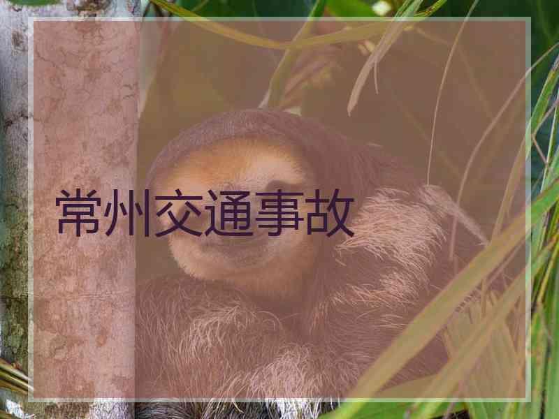 常州交通事故