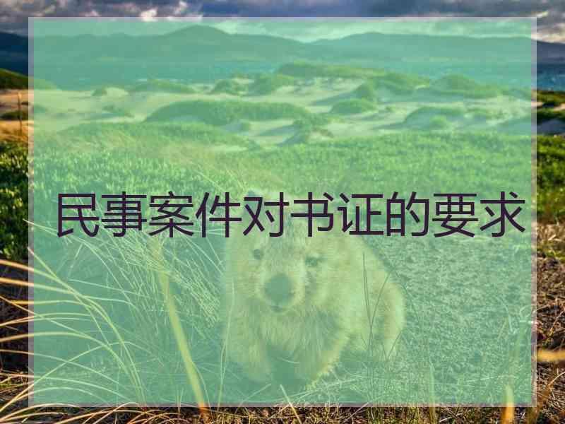 民事案件对书证的要求