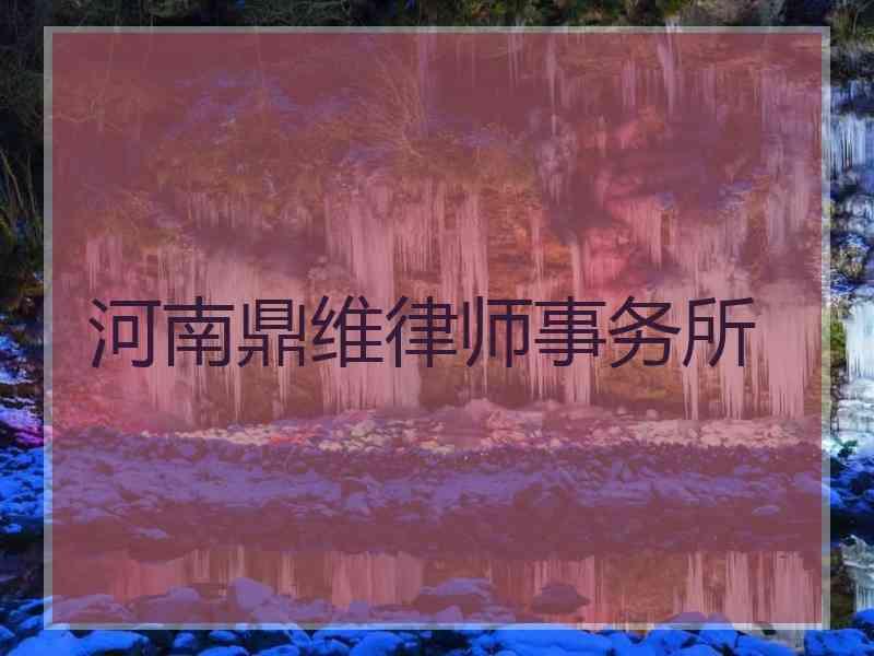 河南鼎维律师事务所