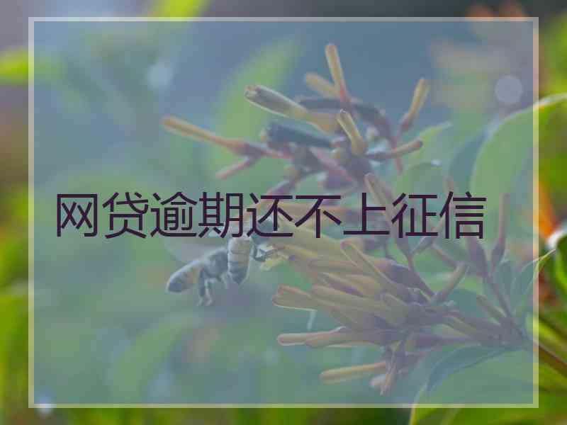 网贷逾期还不上征信