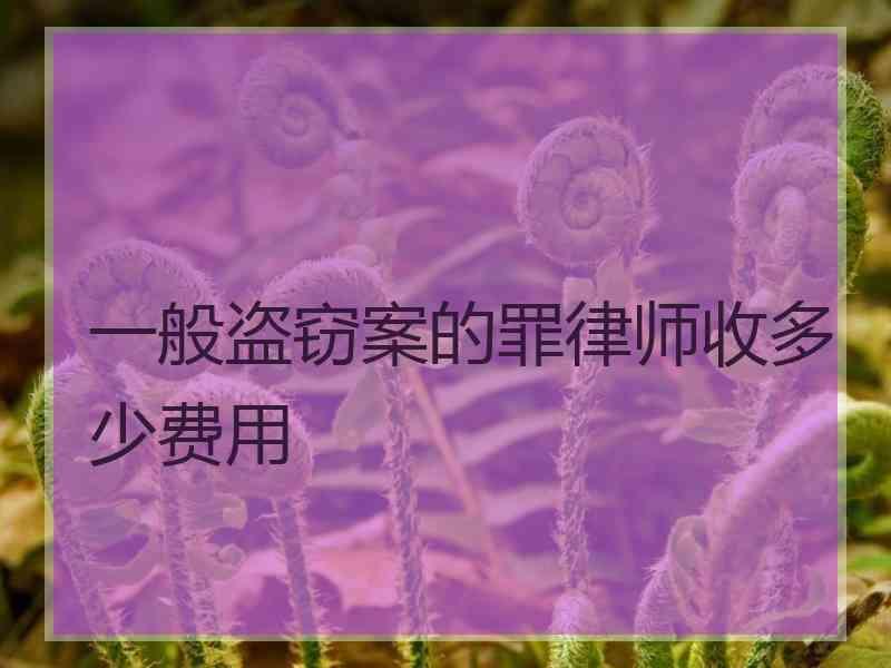 一般盗窃案的罪律师收多少费用