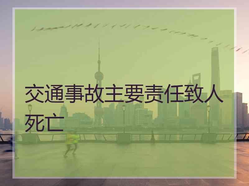 交通事故主要责任致人死亡