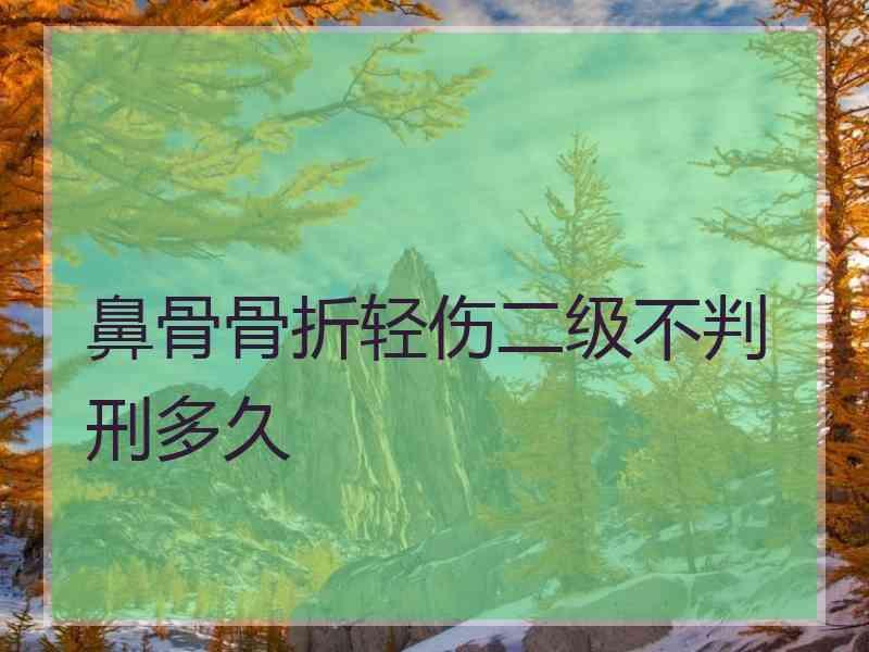 鼻骨骨折轻伤二级不判刑多久