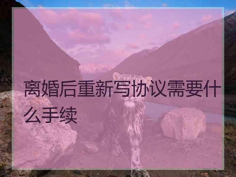 离婚后重新写协议需要什么手续