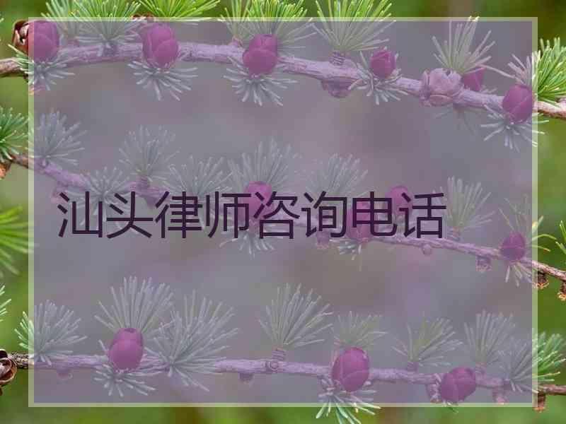 汕头律师咨询电话